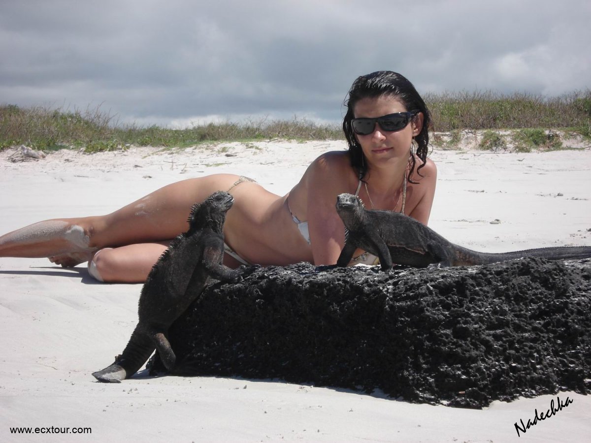 ���������