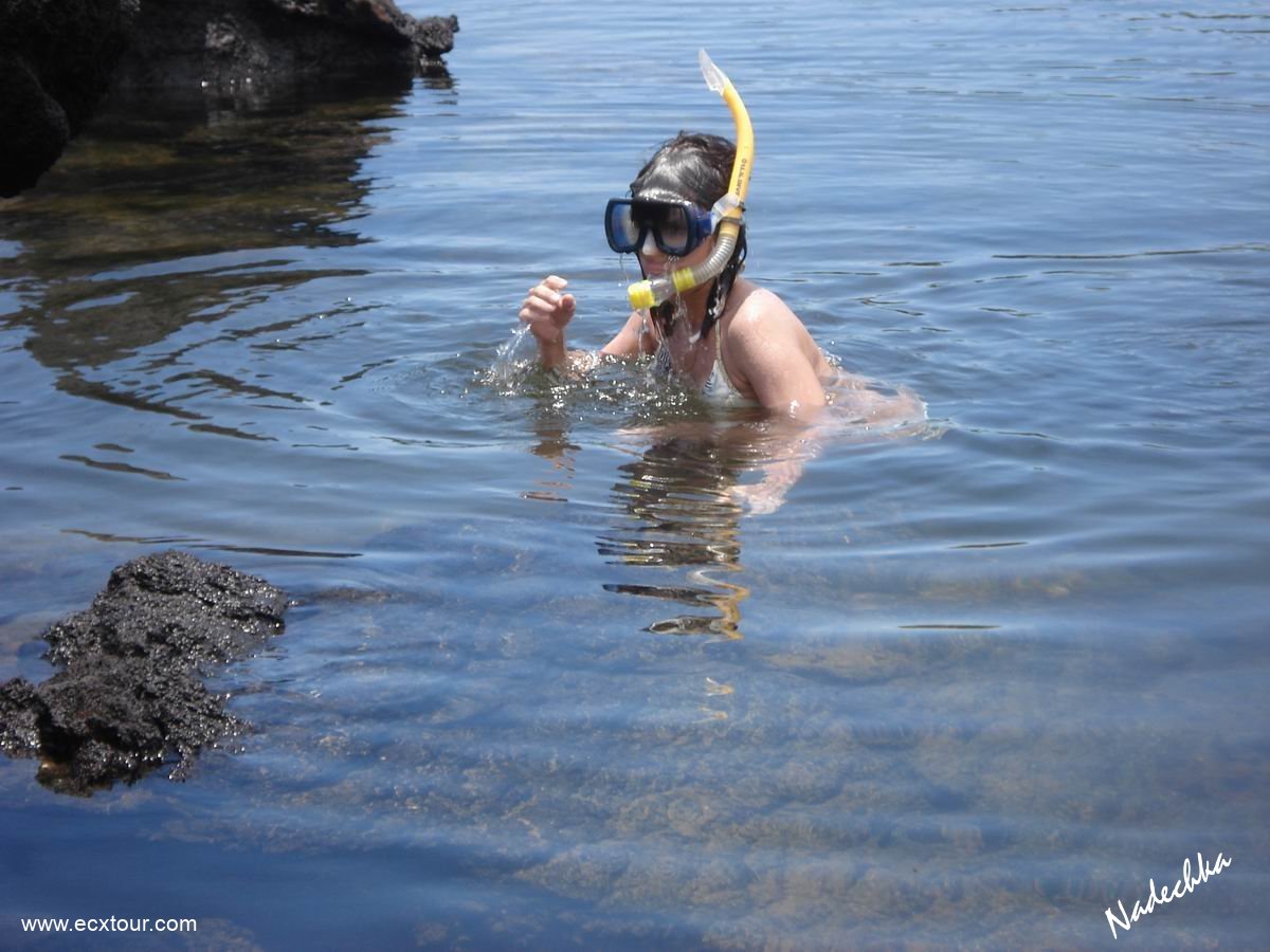 ���������