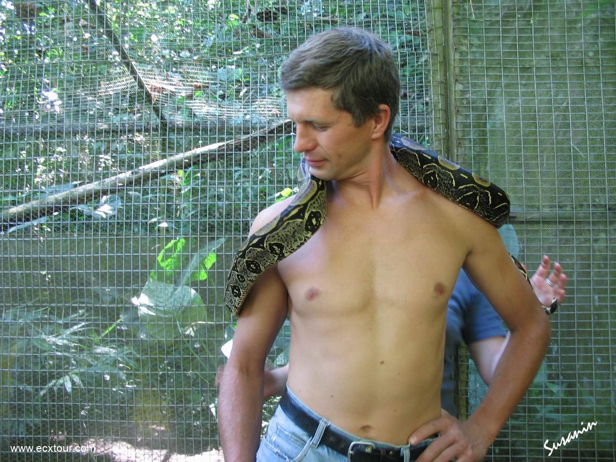 ���������