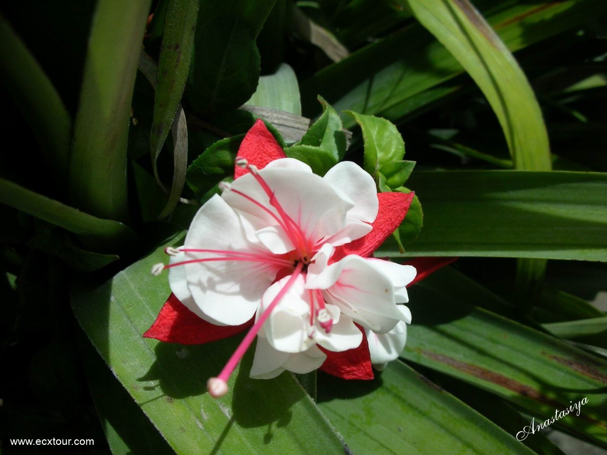 ���������