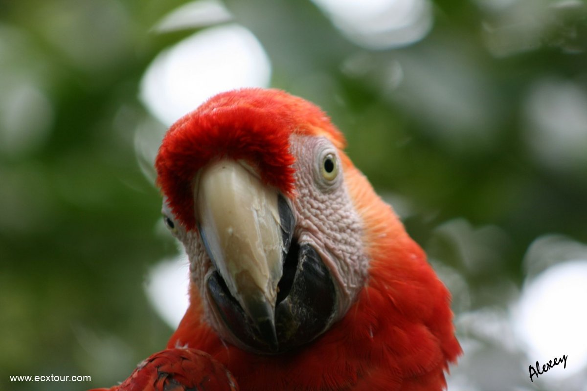 ���������