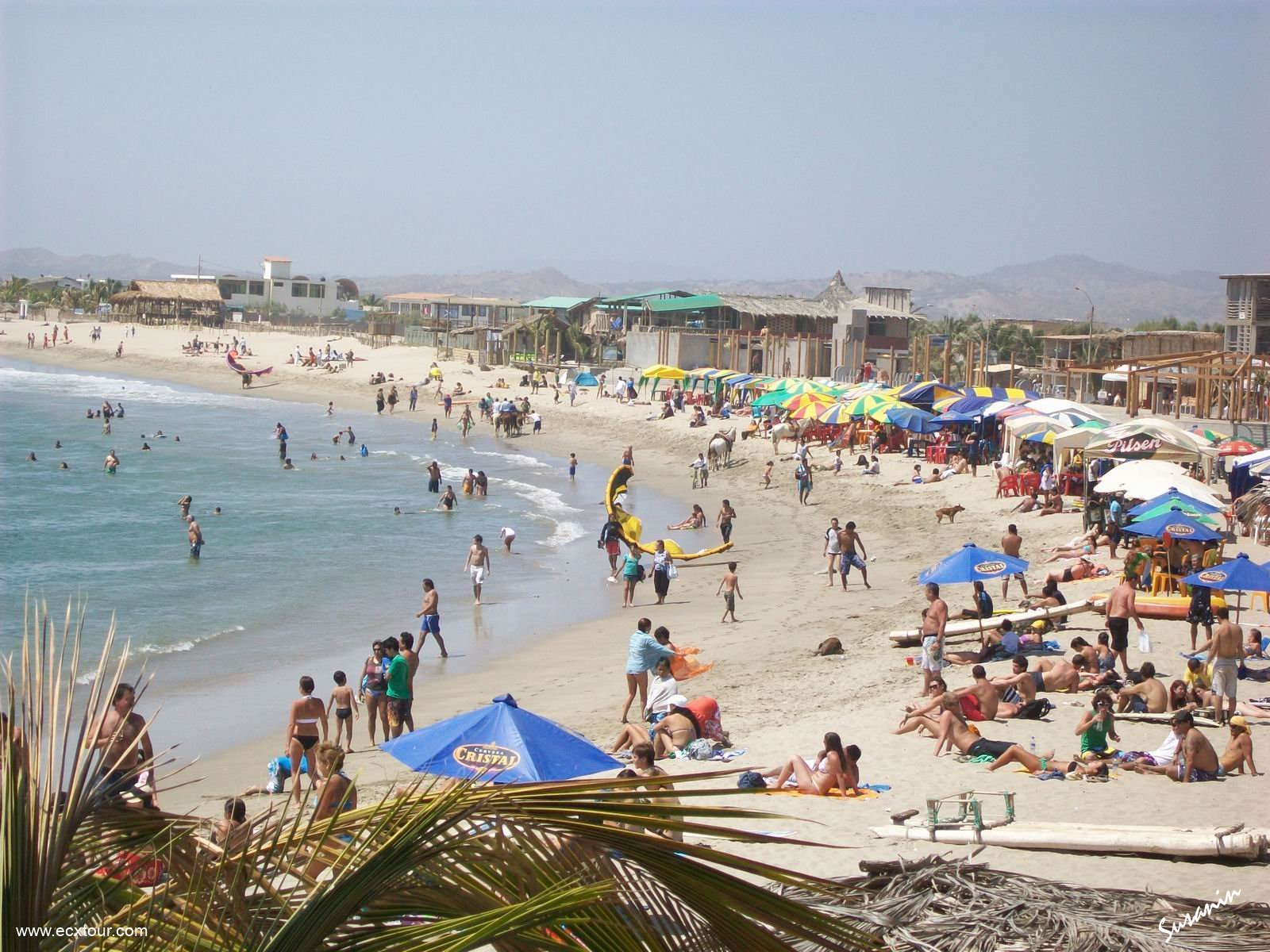 ���������