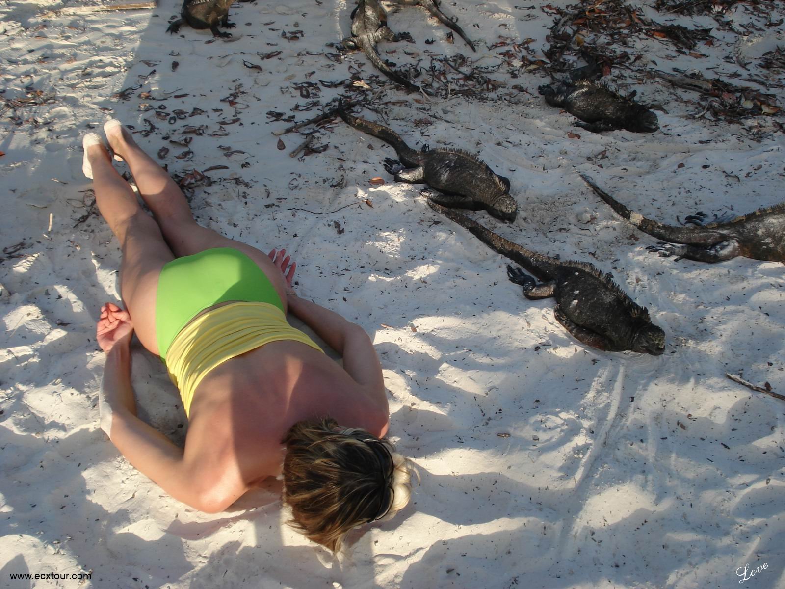 ���������