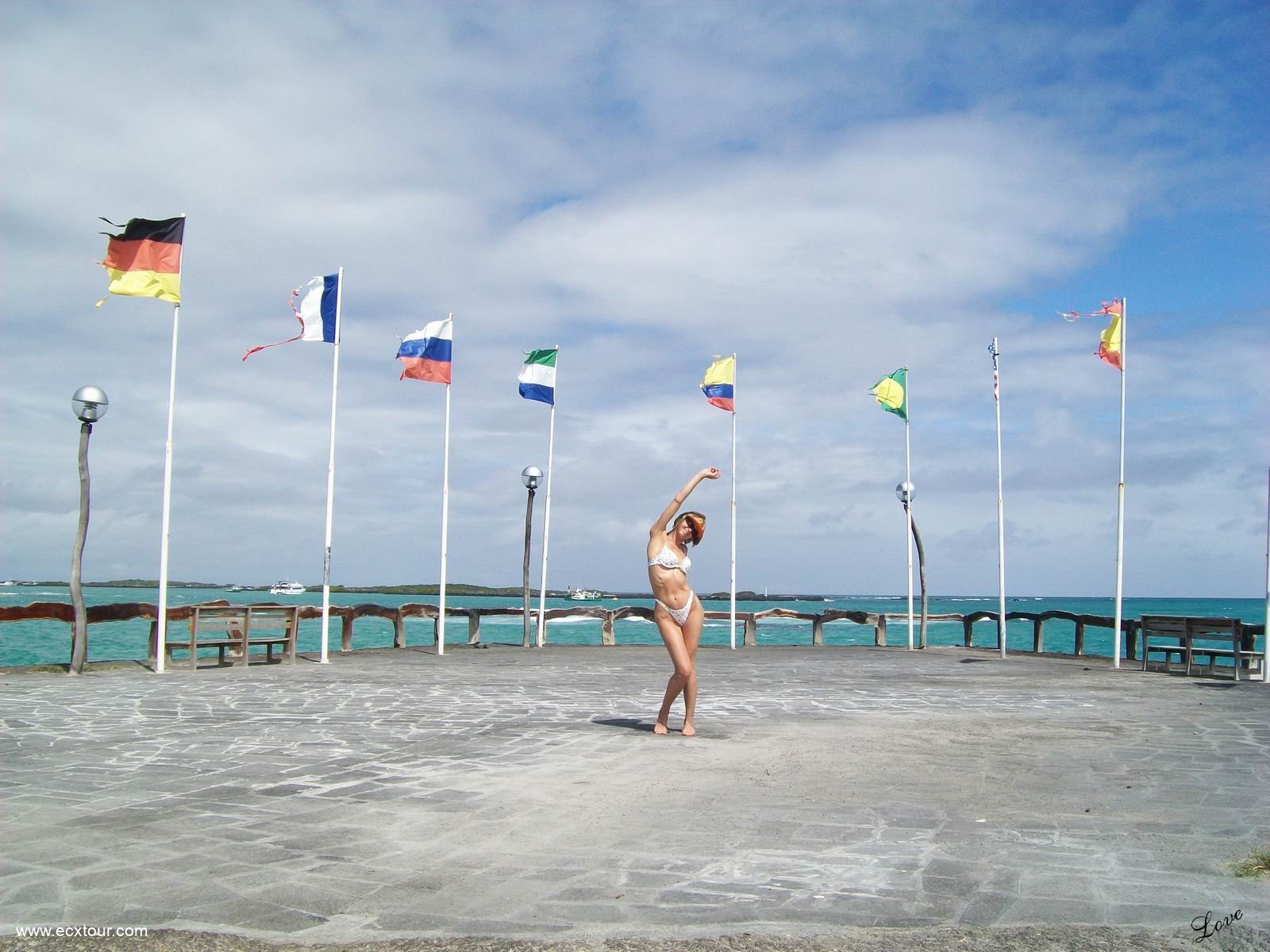 ���������