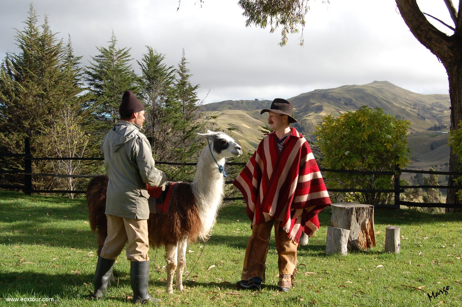 ���������