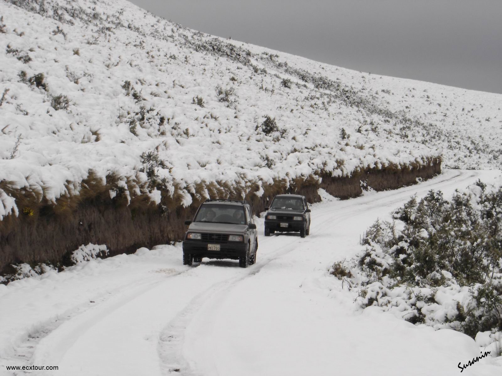 ���������