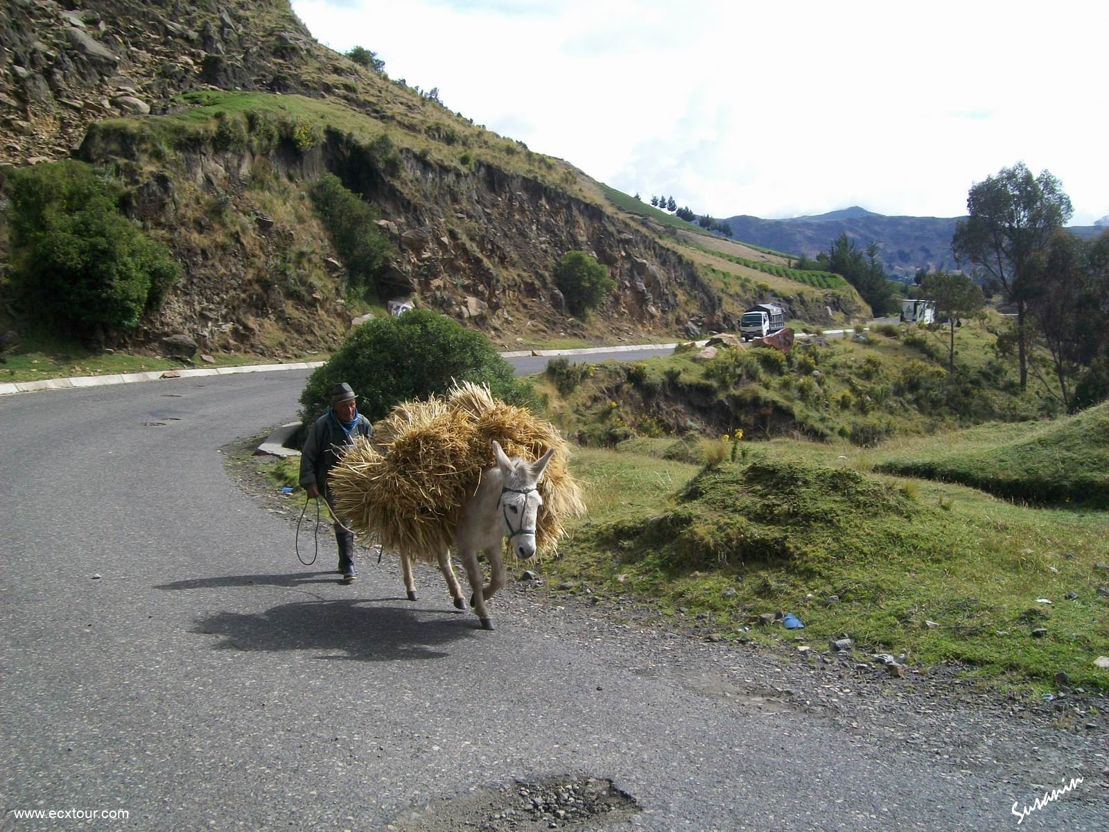 ���������